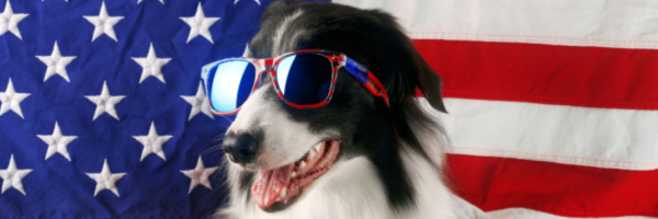 Preparing Your Dogs for the 4th of July